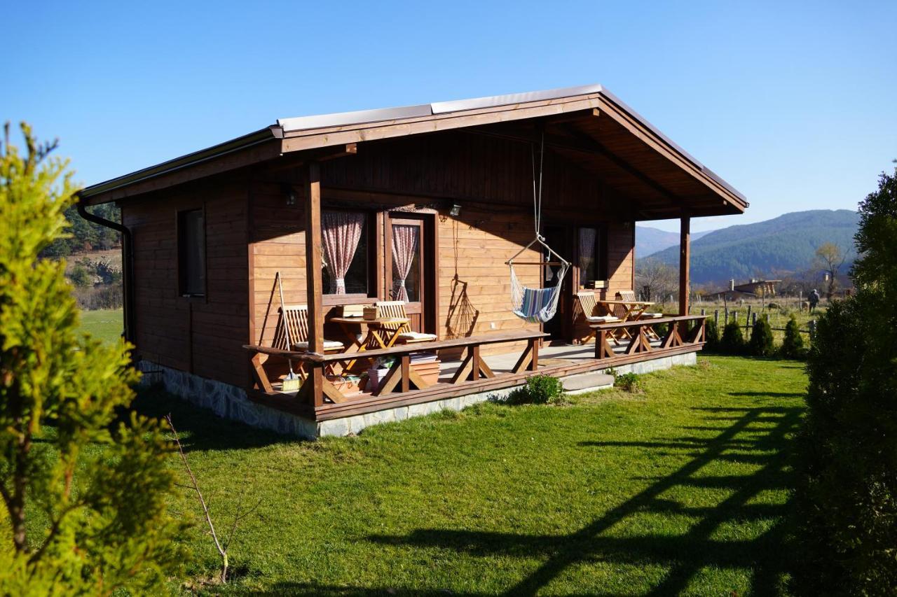 Hotel Orbel Dobrinischte Exterior foto